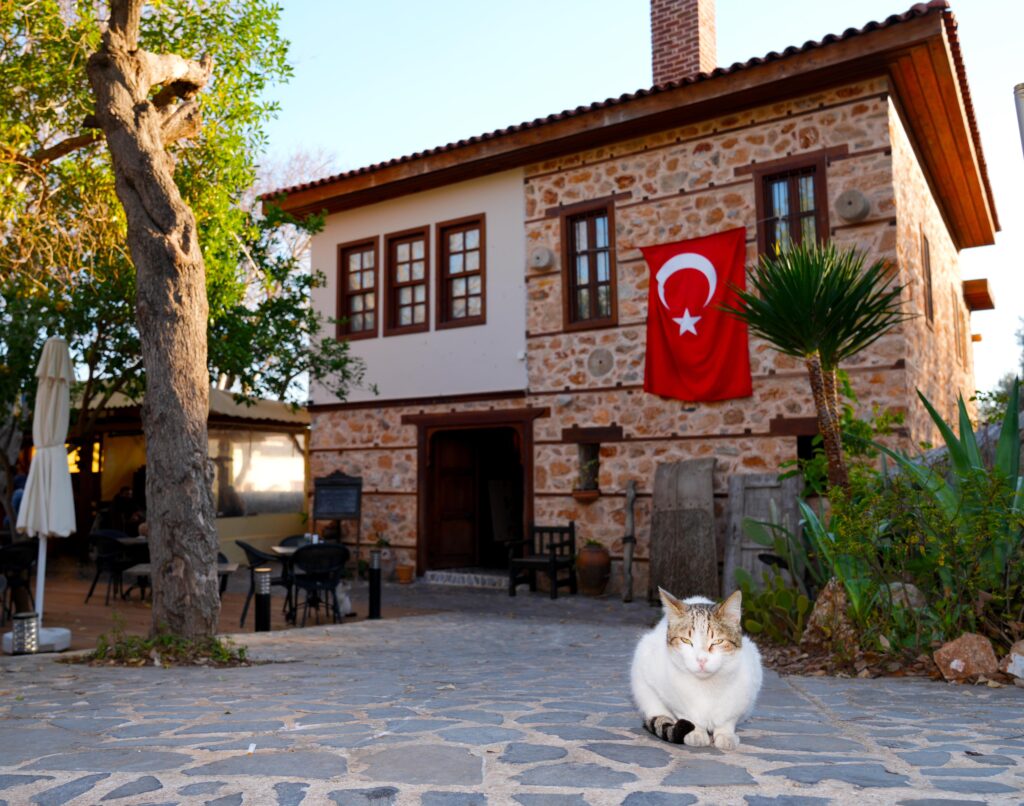 Alanya Belediyesi Mutfak Kültür Evi Yenilenen Yüzü Ve Uygun Fiyatlarla Hizmet Başladı - Mega TV c8c2e9ca 2b7c 4130 a655 f98416129def - Mega TV