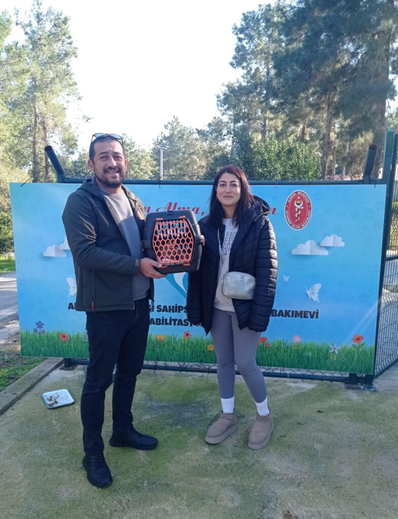 Alanya'da Can Dostlar Emin Ellerde - Mega TV WhatsApp Image 2025 02 17 at 16.19.31 - Mega TV