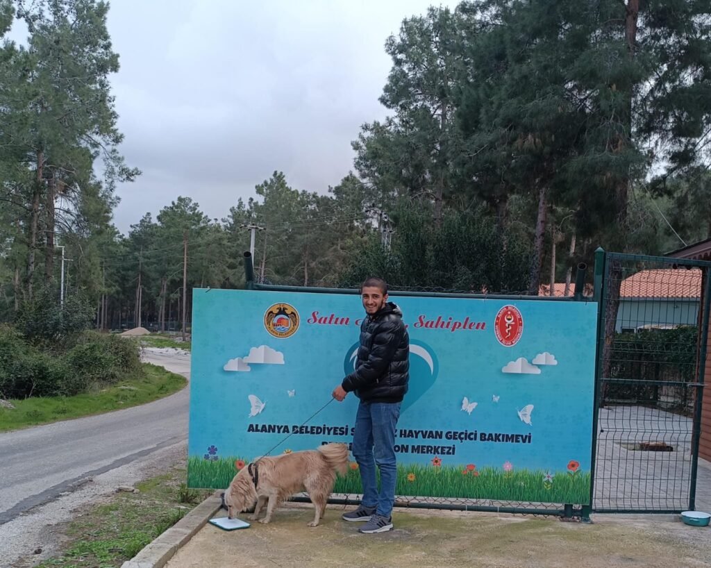 Alanya'da Can Dostlar Emin Ellerde - Mega TV WhatsApp Image 2025 02 17 at 16.19.32 1 - Mega TV