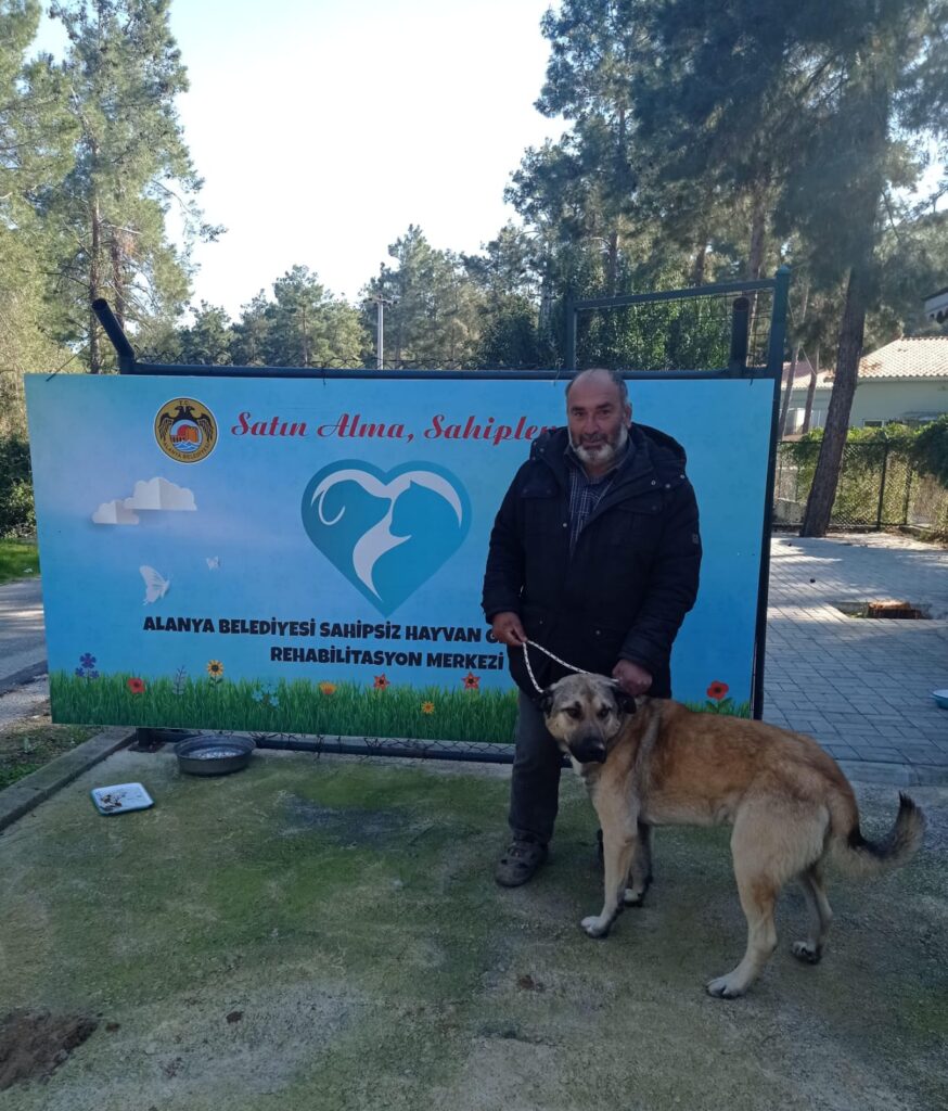 Alanya'da Can Dostlar Emin Ellerde - Mega TV WhatsApp Image 2025 02 17 at 16.19.32 - Mega TV