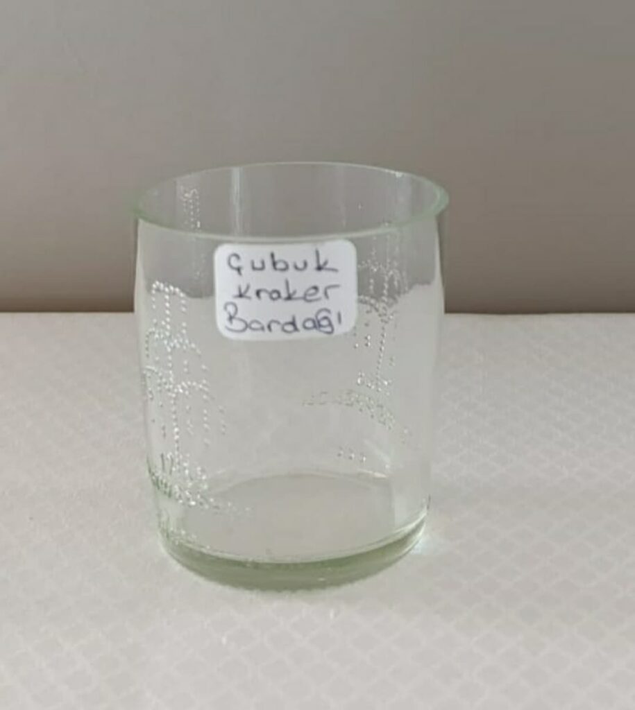 WhatsApp Image 2025 03 05 at 11.14.58 - Mega TV