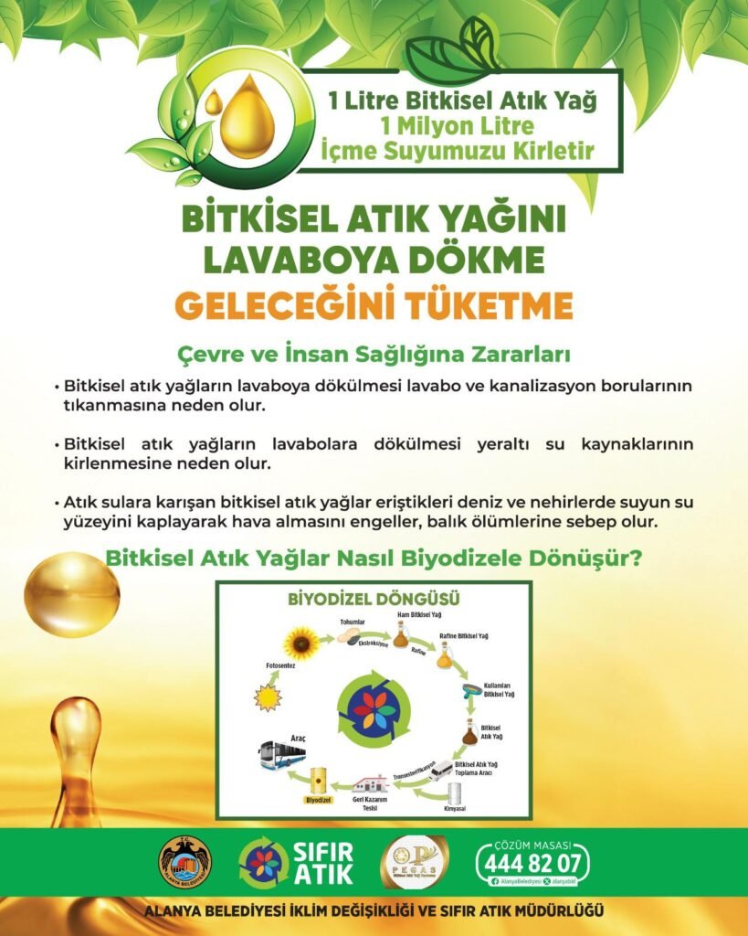 WhatsApp Image 2025 03 13 at 11.18.42 2 - Mega TV