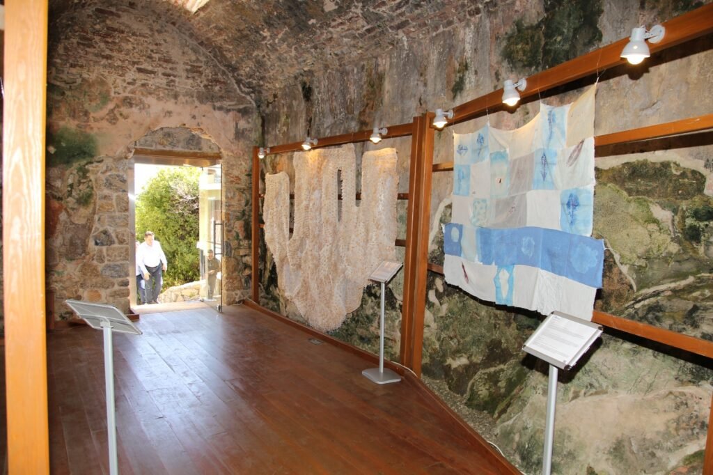 WhatsApp Image 2025 03 13 at 14.20.47 2 - Mega TV