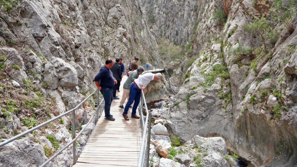 WhatsApp Image 2025 03 18 at 09.48.54 - Mega TV