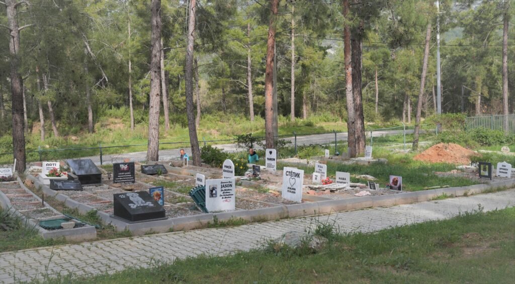 Başkan Özçelik’ten Can Dostlara Doğal Yaşam Alanı ve Modern Ameliyathane Müjdesi - Mega TV WhatsApp Image 2025 03 27 at 16.36.40 - Mega TV