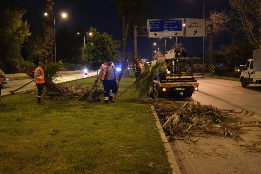 Büyükşehir’den Gece Budama Çalışması - Mega TV gece budama 1 - Mega TV