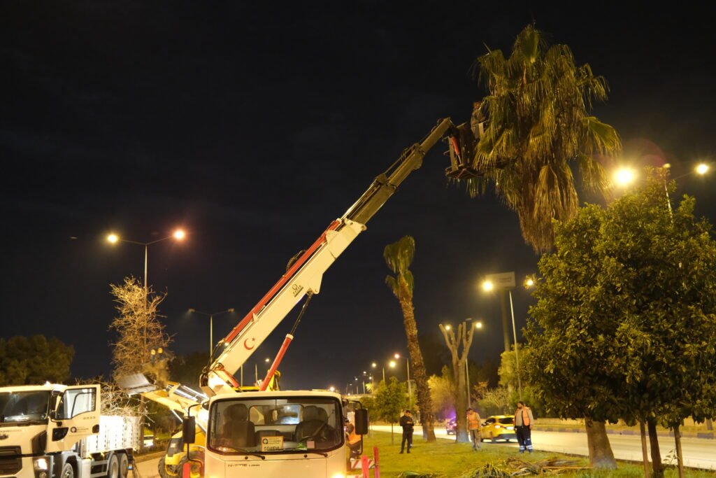 gece budama 2 - Mega TV