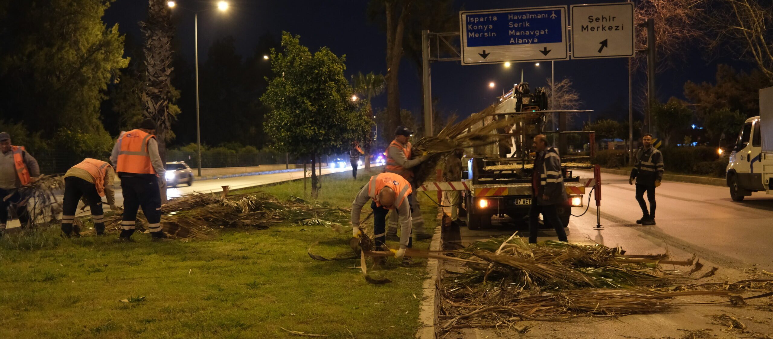 Büyükşehir’den Gece Budama Çalışması