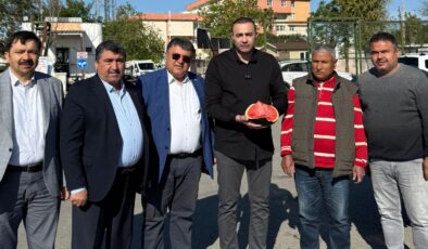 Kaya: Yerli Varken Neden İthal?