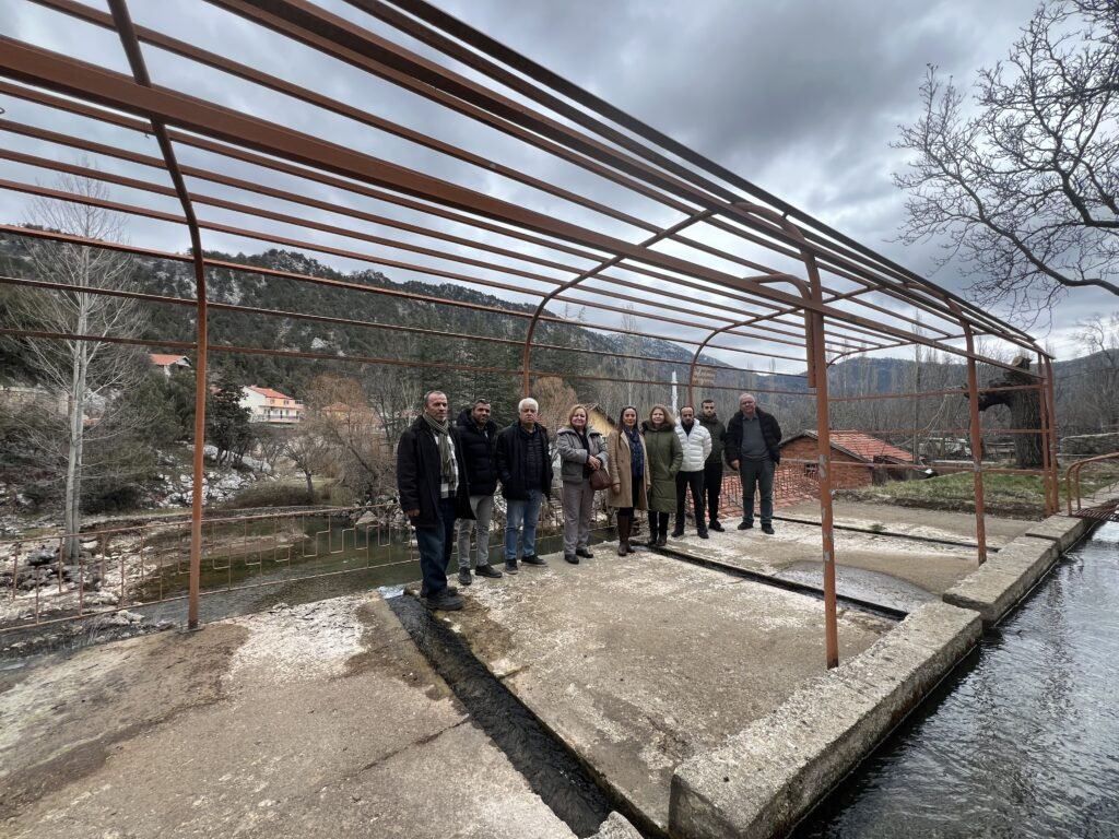 image00008 - Mega TV