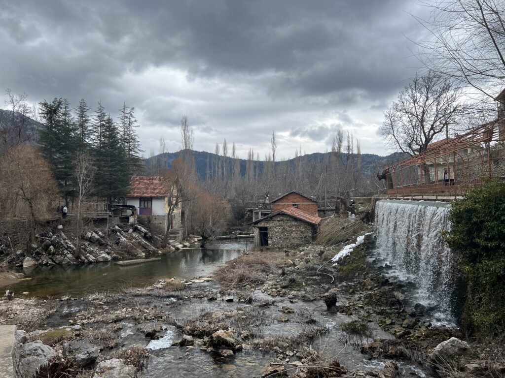 image00027 - Mega TV