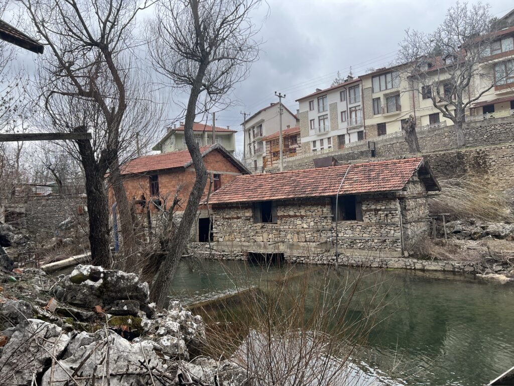 image00043 - Mega TV