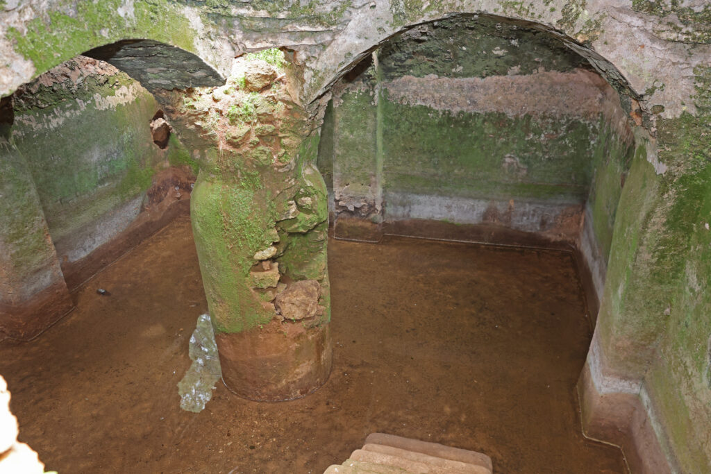 Dort kubbeli tarihi su sarnici restore edilecek 3 - Mega TV