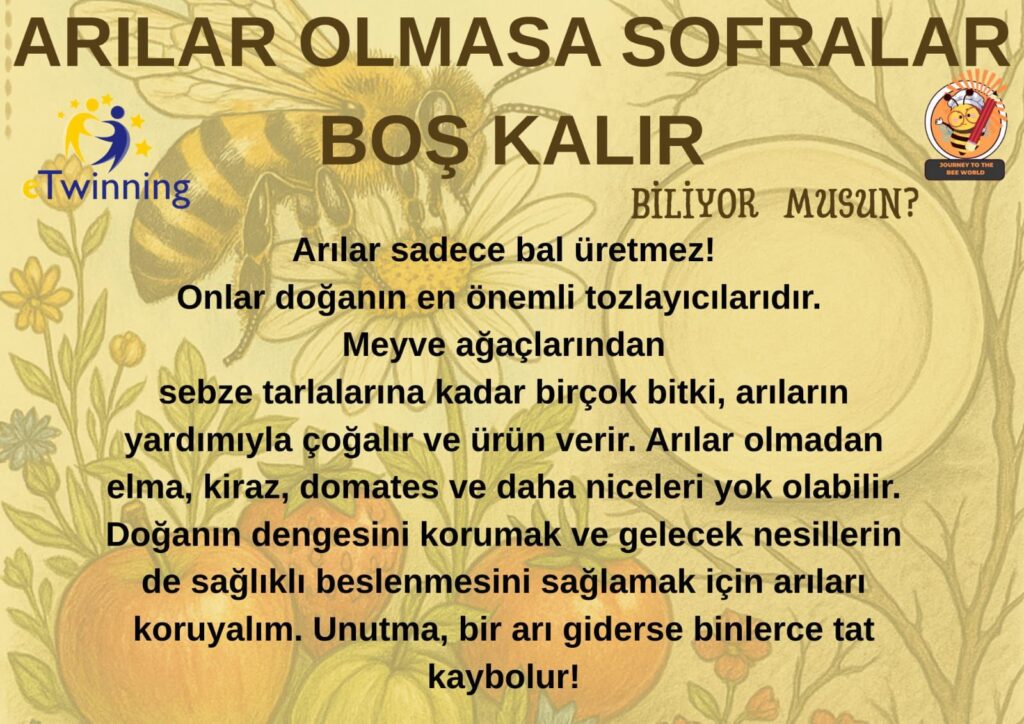 Arı Dünyasına Eğitici Yolculuk: Öğrencilerden Farkındalık Dolu Ziyaret! - Mega TV WhatsApp Image 2025 05 08 at 10.30.47 - Mega TV