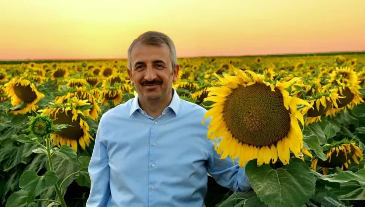 Binlerce Dekar Tarım Arazisi Suya Kavuşuyor