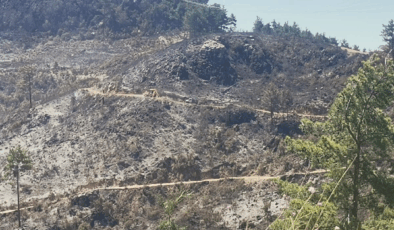 Yangının Ardından Gelen Görüntüler İçler Acısı