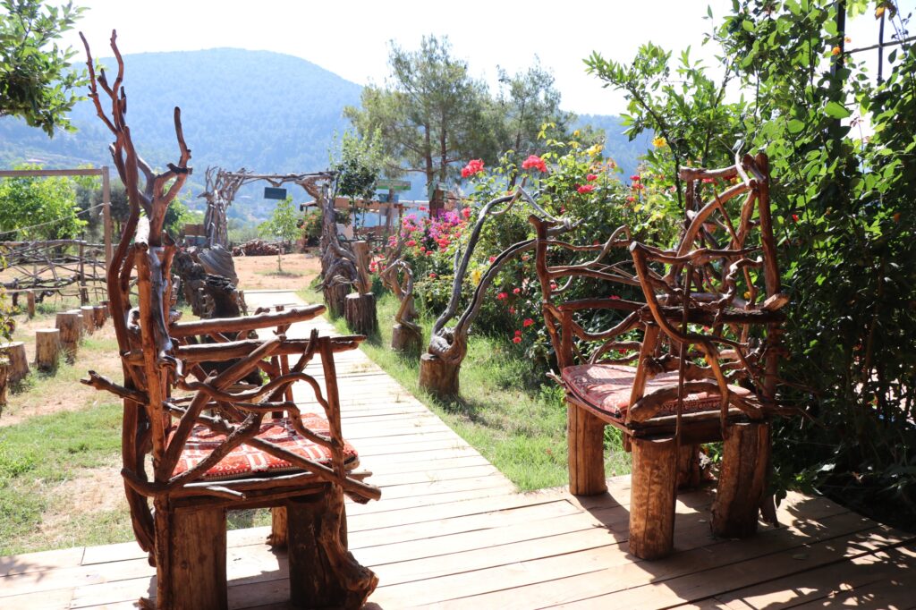 WhatsApp Image 2025 06 02 at 15.13.00 2 - Mega TV