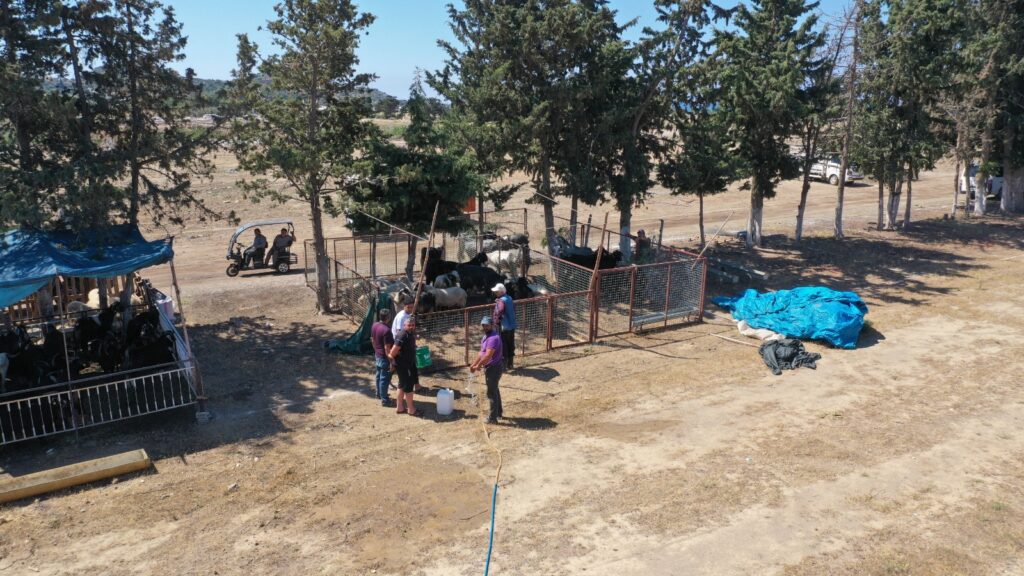 WhatsApp Image 2025 06 02 at 16.51.07 1 - Mega TV