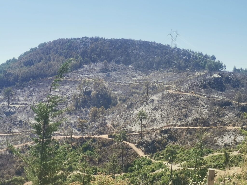 WhatsApp Image 2025 06 28 at 10.57.35 2 - Mega TV