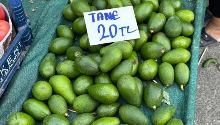 HAM AVOKADO PAZARDA: HASAT TARİHİ GELMEDEN SATIŞ BAŞLADI!