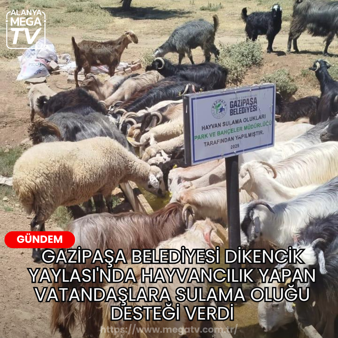 Gazipaşa Belediyesi Dikencik Yaylası’nda Hayvancılık Yapan Vatandaşlara Sulama Oluğu Desteği Verdi
