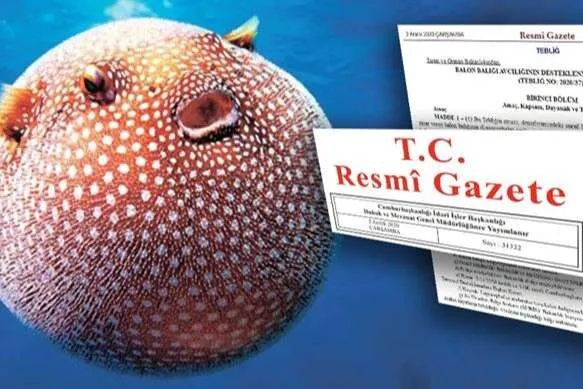 Yeni Düzenleme Resmi Gazete’de Yayımlandı