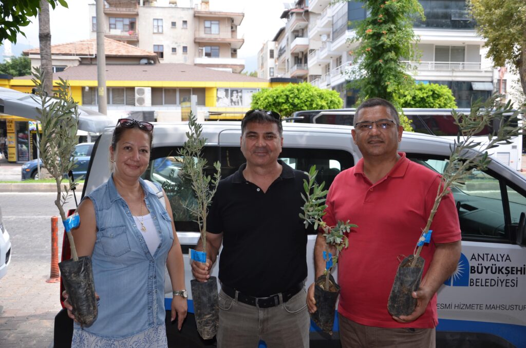 ALANYA ZEYTIN FIDANI DAGITIM 3 - Mega TV