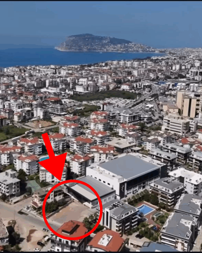 Instagram post 16 - Mega TV