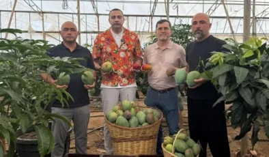 Vekil Kaya, Alanya’da Mango Hasadında: “Üreticilerimizin Emeği Korumaya Değer”