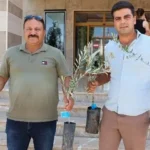 web sitesi şablon (7)