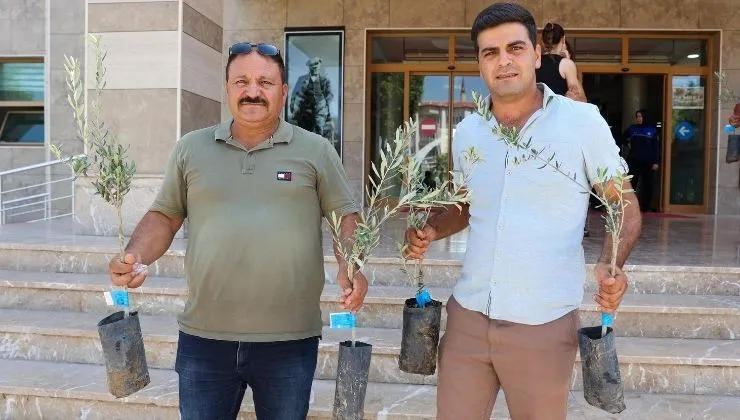 web sitesi şablon (7)