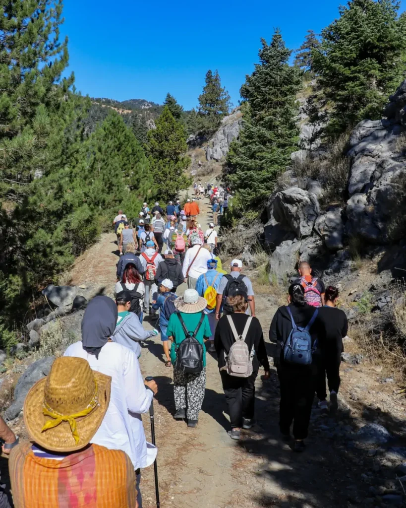 Instagram post 17 - Mega TV