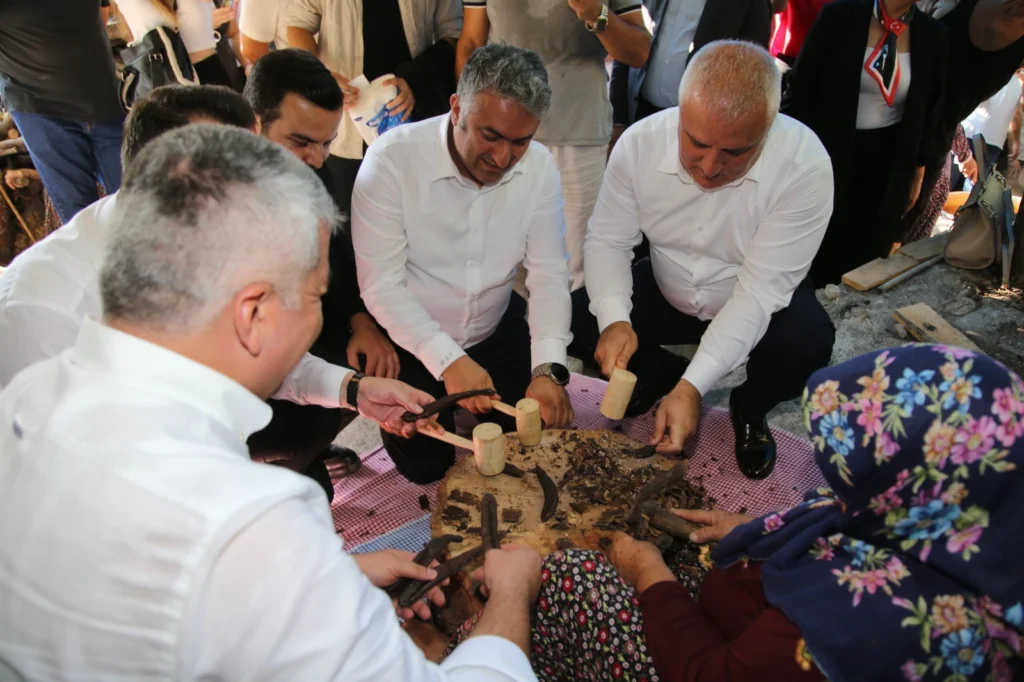 Alanya’da Keçiboynuzu Hasadı Coğrafi İşaretle Taçlandı - Mega TV WhatsApp Image 2025 09 08 at 21.02.49 1 - Mega TV