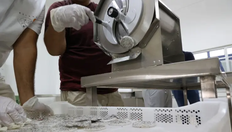 web sitesi sablon 740420 10 3 - Mega TV