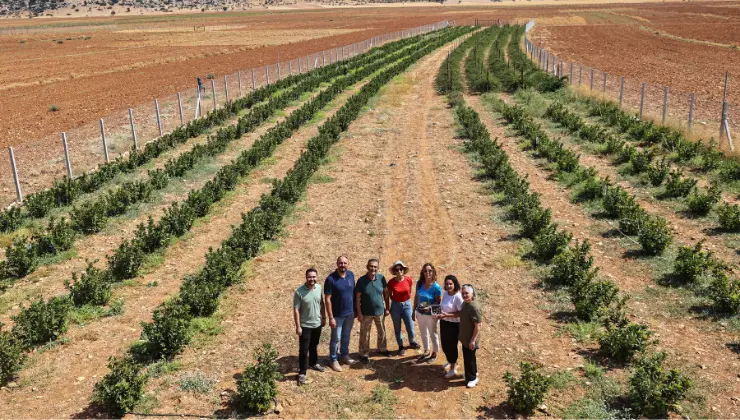 web sitesi sablon 740420 19 1 - Mega TV