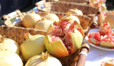 Gazipaşa 15. Çekirdeksiz Nar ve Tropikal Meyve Festivali Coşku Dolu Etkinliklerle Sona Erdi