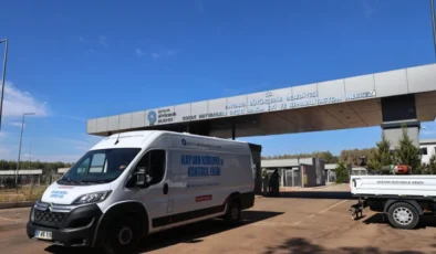 Büyükşehir Patili Dostları Sahipsiz Bırakmıyor, 7/24 Bakım ve Rehabilitasyon Sağlanıyor