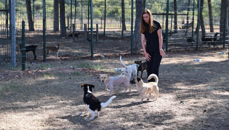 megatv.com .tr 740420 20 - Mega TV