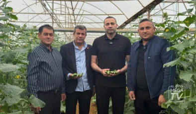 Aykut Kaya: “Üretici maliyetin üçte birine satıyor, çiftçi üretimden kopma noktasında”