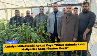 Antalya Milletvekili Aykut Kaya ”Biber dalında kaldı Maliyetler Satış Fiyatını Geçti”