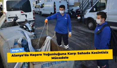 Alanya’da Haşere Yoğunluğuna Karşı Sahada Kesintisiz Mücadele