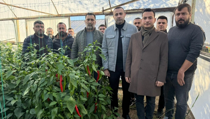 Antalya Milletvekili Aykut Kaya ''Biber dalında kaldı Maliyetler Satış Fiyatını Geçti'' - Mega TV Alanya Mega Tv 6 1 - Mega TV