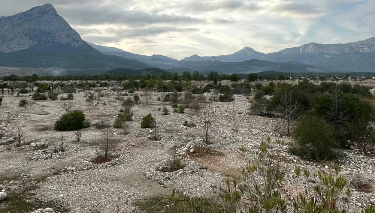 Antalya Milletvekili Cavit Arı: TOKİ’nin Çakırlar Projesi İçin Seçilen Yer Yanlış - Mega TV Alanya Mega Tv 24 - Mega TV
