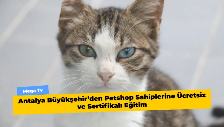 Antalya Büyükşehir’den Petshop Sahiplerine Ücretsiz ve Sertifikalı Eğitim