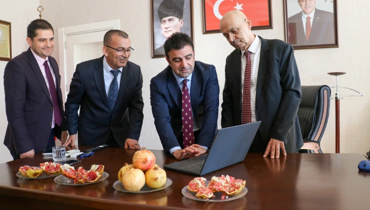 Gazipaşa’nın Çekirdeksiz Narı İçin Avrupa Birliği Coğrafi İşaret Süreci Başlatıldı - Mega TV Alanya Mega Tv 12 - Mega TV