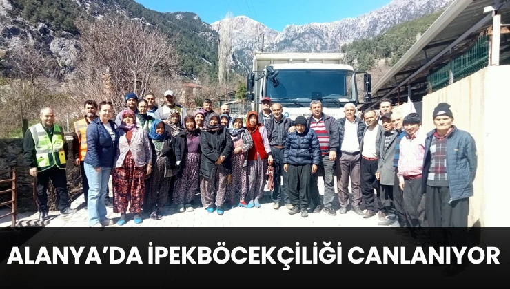 Alanya’da İpekböcekçiliği Canlanıyor