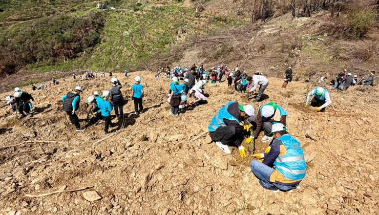 Alanya’da Geleceğe Nefes: 2400 Fidan Toprakla Buluştu! - Mega TV Alanya haber 25 2 - Mega TV