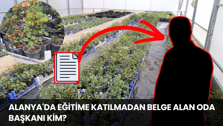 Alanya’da Eğitime Katılmadan Belge Alan Oda Başkanı Kim?