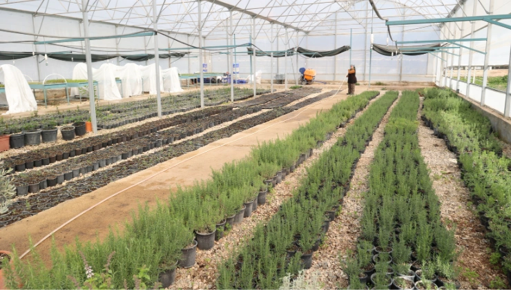 Alanya haber 2 - Mega TV