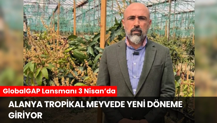Alanya Tropikal Meyvede Yeni Döneme Giriyor: GlobalGAP Lansmanı 3 Nisan’da